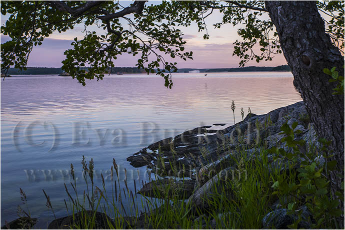 Sommargryning - foto av Eva Bucksch